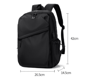 business travel backpack (1)