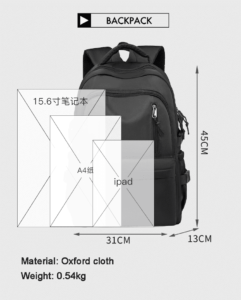business travel backpack